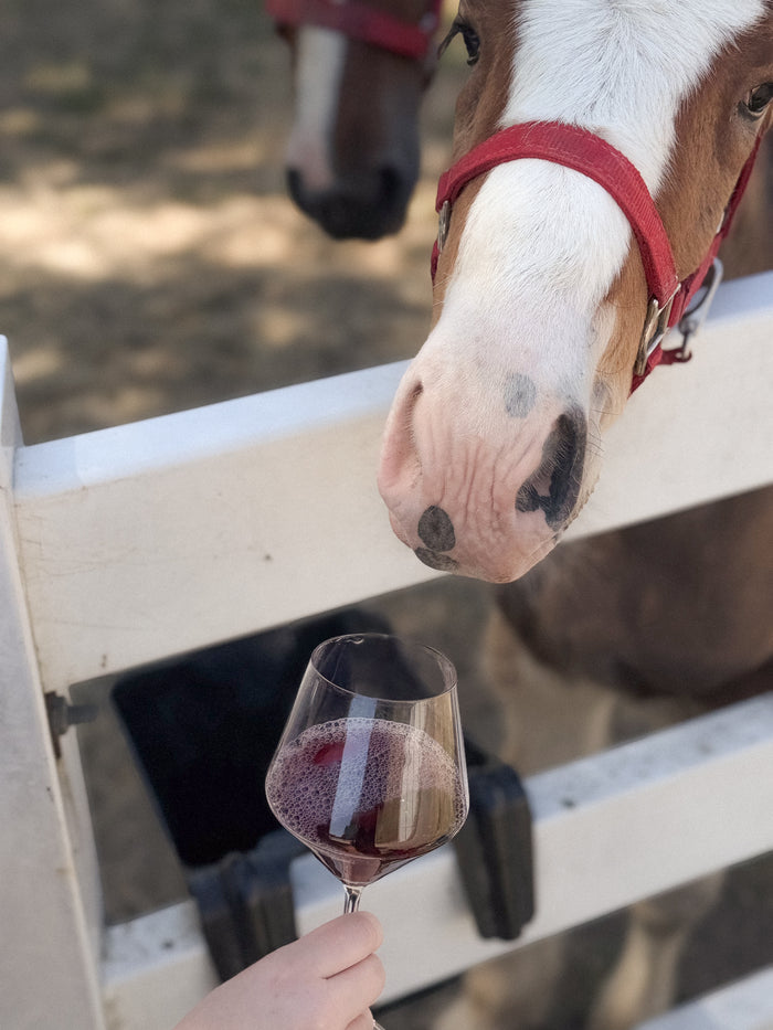 2023 Clyde Red Blend