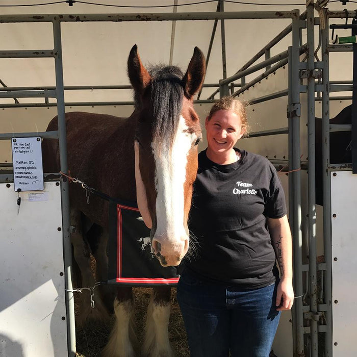 4-hour Holding Stall (EI Fall Adult Camp 2023)