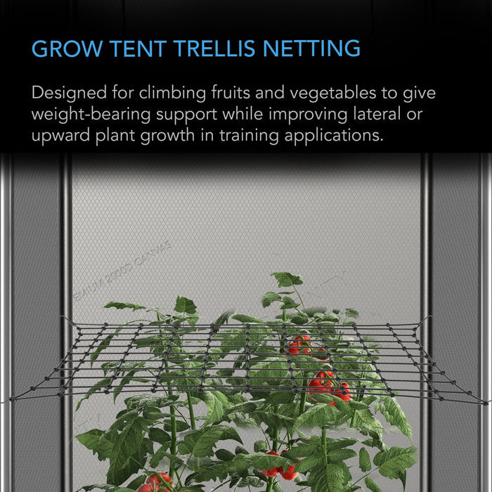 AC Infinity Grow Tent Trellis Netting, Flexible Elastic Cords - 2x4 Feet