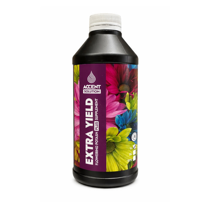Accent Solution Extra Yield - 1L