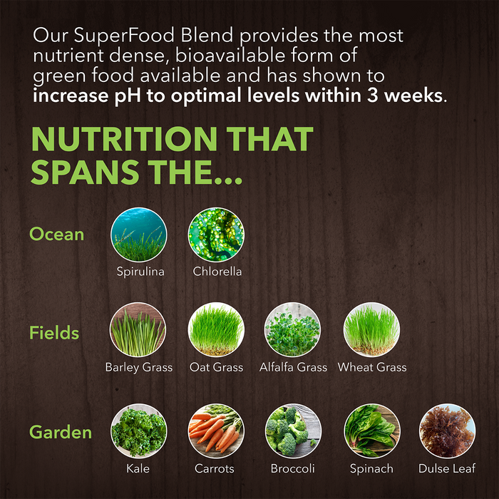 Alkalizing Greens - Fermented Superfood Powder Blend - Save 35%