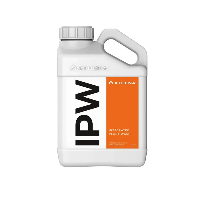Athena IPW - 3.8L