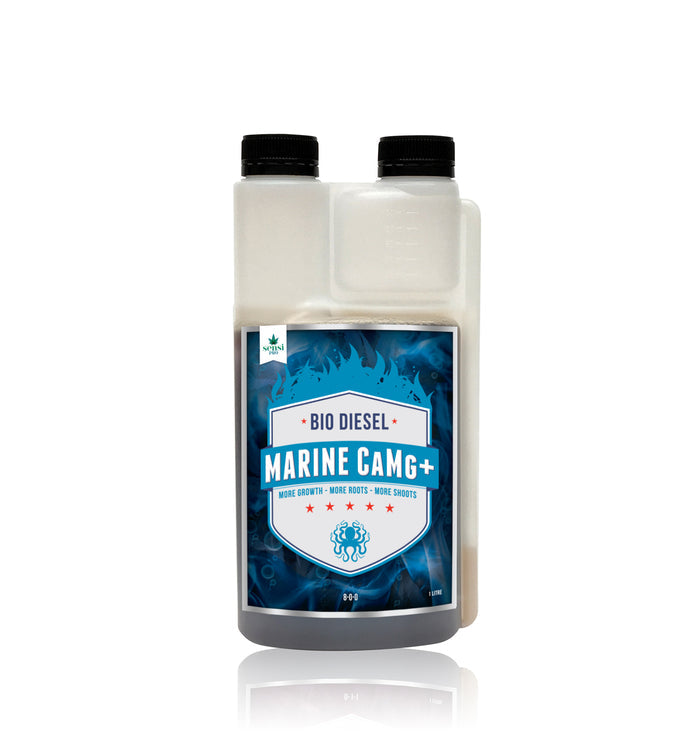 Bio Diesel Marine Camg+ - Growth Enhancer (250mL, 1L, 5L, 20L)