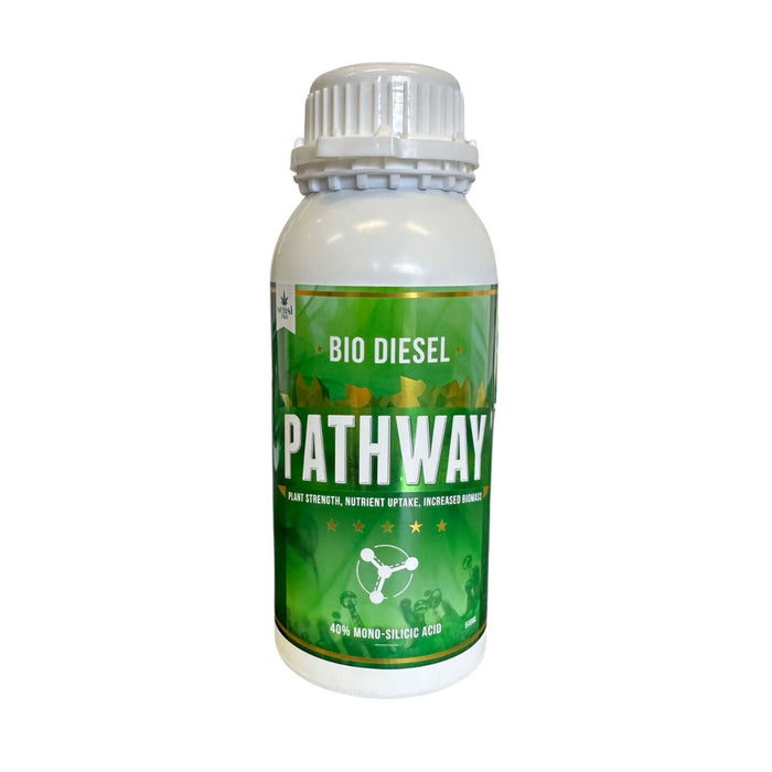 Bio Diesel Pathway 40% Mono Silicic Acid - 250mL
