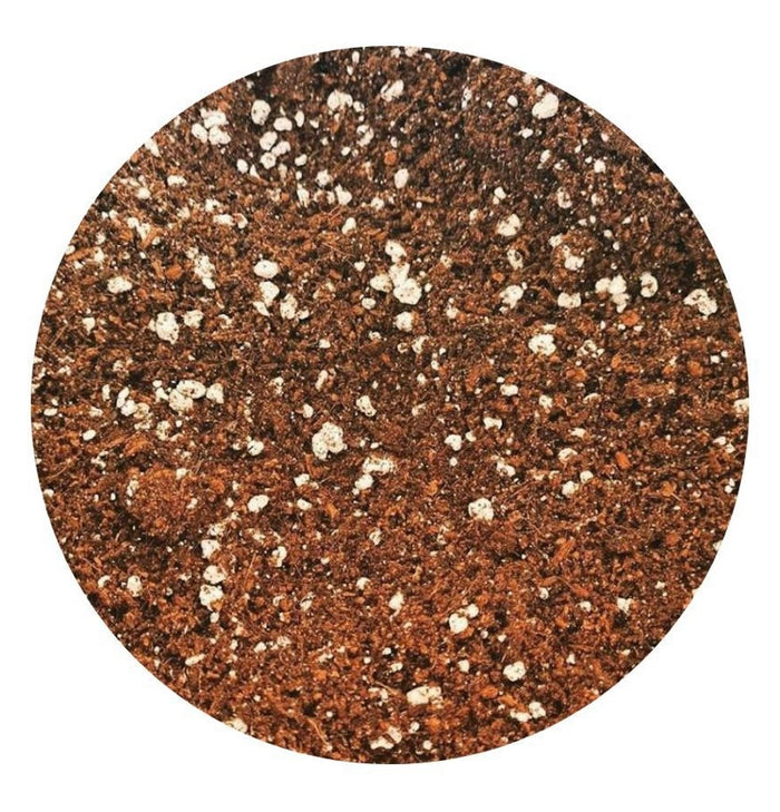 Bio Diesel Premium MAX AIR 70/30 Coco Blend 50L