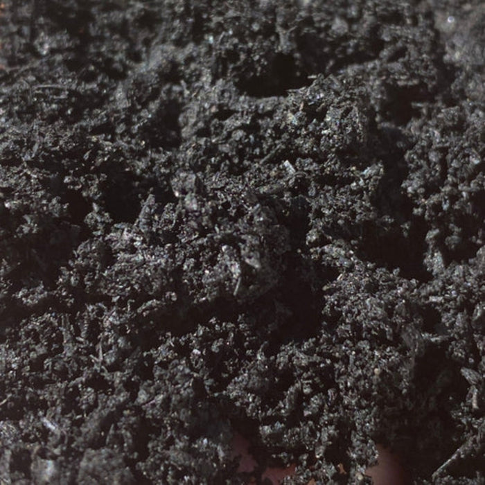 BIOCARBON - Premium Biochar (Engineered Carbon for Soil) - 3L