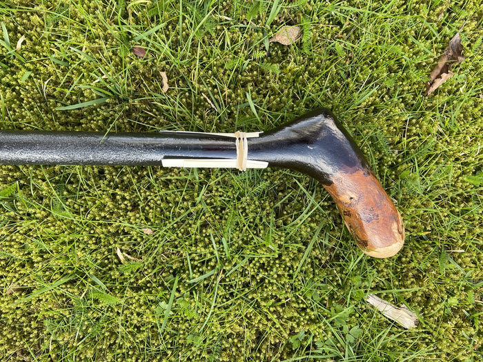 Blackthorn Irish Walking Stick Hybrid