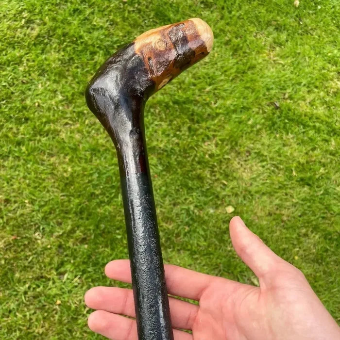 Blackthorn Irish Walking Stick Hybrid