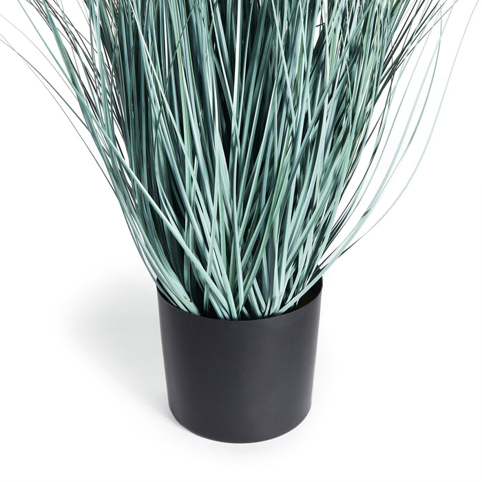 BLUE OAT GRASS DROP-IN 32"