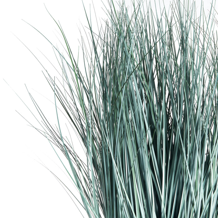 BLUE OAT GRASS DROP-IN 32"