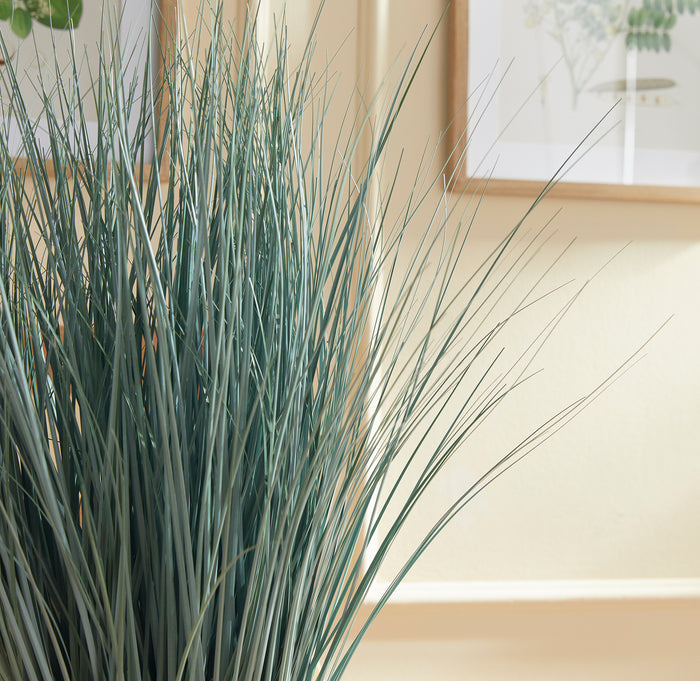 BLUE OAT GRASS DROP-IN 32"
