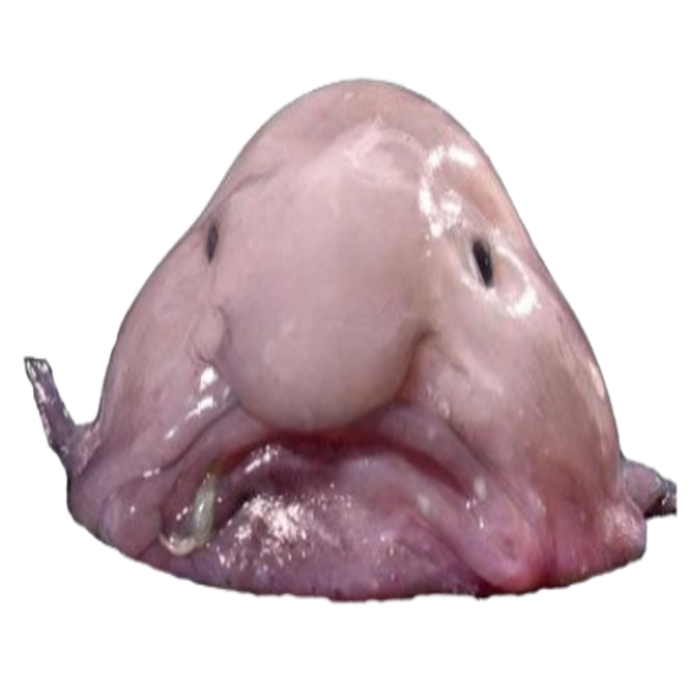 Bob The Blobfish T-Shirt