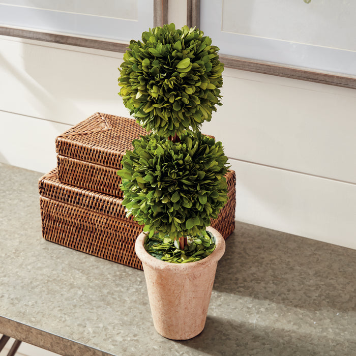 Boxwood Double Sphere Topiary 20"