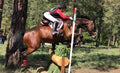 Cross Country Schooling