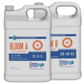 Cultured Solutions Bloom A & B - 2 x 3.8L