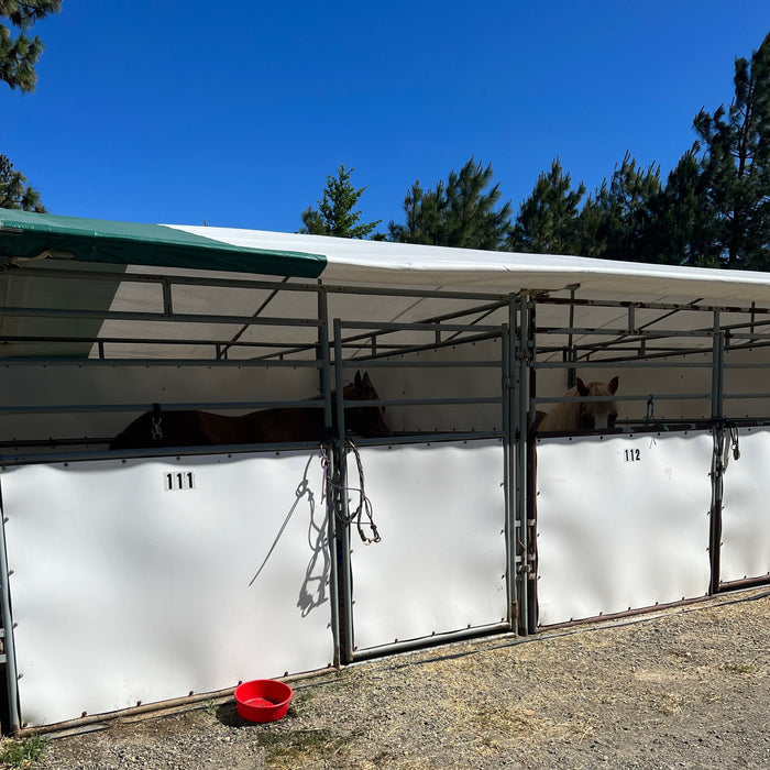Day Holding Stall (Rother Clinic Sept 2025)