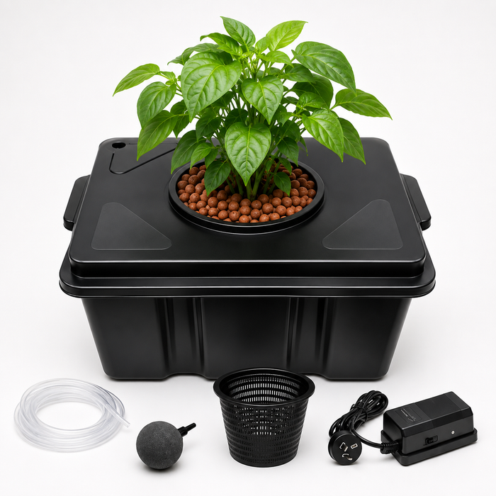 Deep Water Culture (DWC) Single Pot Hydroponic System With Air Pump - 39L