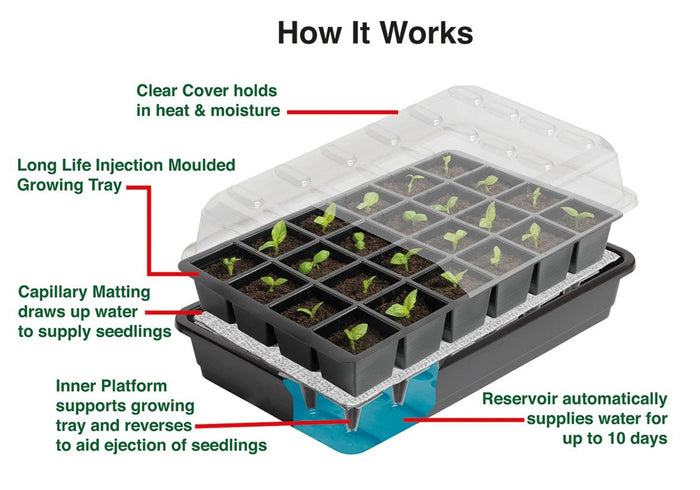 Garland 24 Cell Self Watering Seed Success Kit