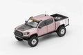 GCD 1:64 Tacoma N300 LHD limited999 Diecast Model Car