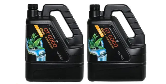Growth Technology Coco Bloom A & B