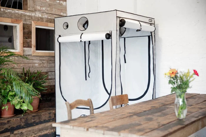 Homebox Ambient Q80+ Grow Tent