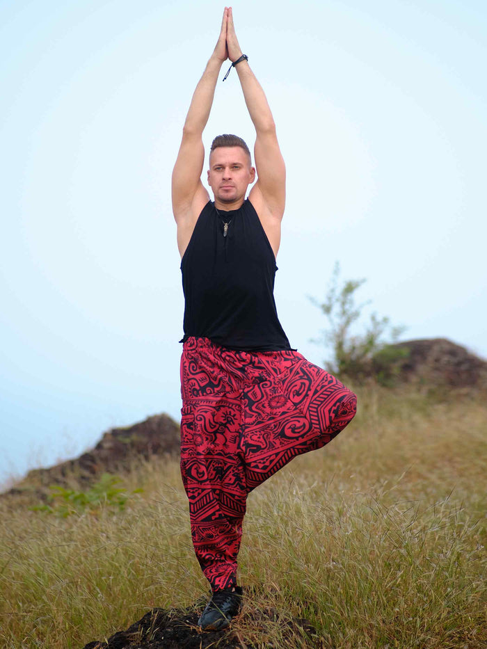 Men's Arabic Vintage Boho Hippy Red Harem Pants Aladdin Balloon Pyjamas For Travel image 3