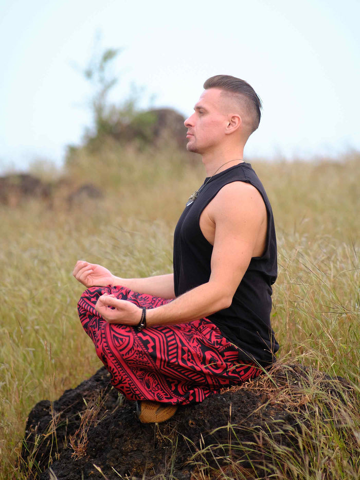 Men's Arabic Vintage Boho Hippy Red Harem Pants Aladdin Balloon Pyjamas For Travel image 4