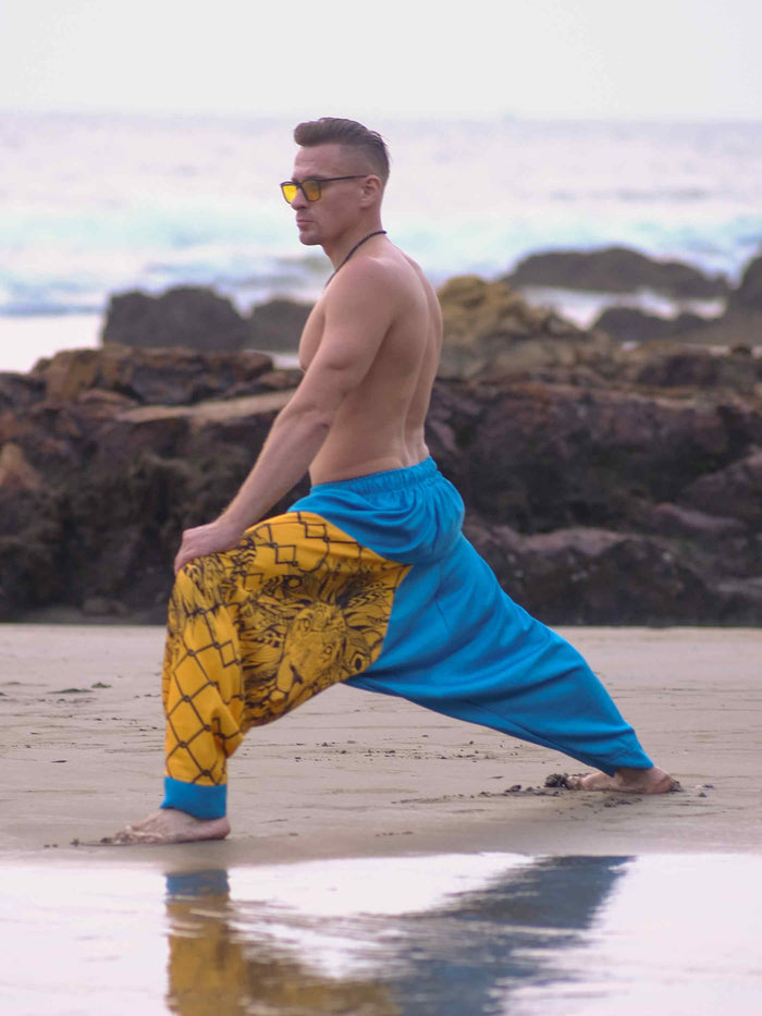 Men's Lion Print Hippy Baggy Aladdin Bohemian Harem Pants For Travel Dance Yoga image 4