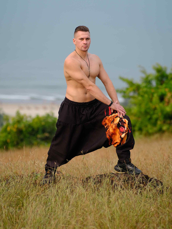 Men's Lion Print Hippy Baggy Harem Pants For Travel Dance Yoga image 3