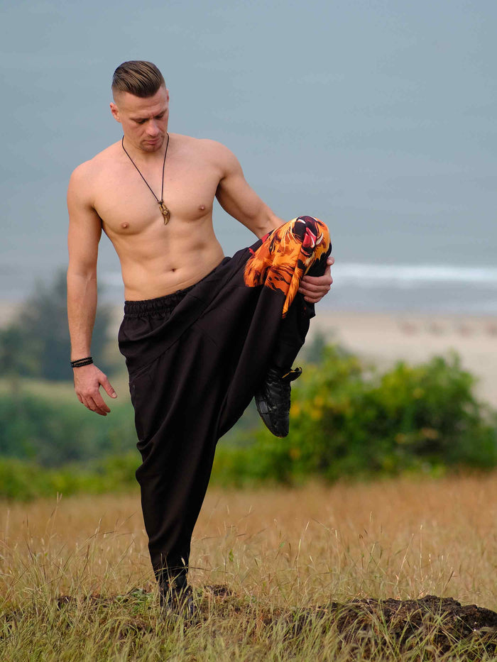 Men's Lion Print Hippy Baggy Harem Pants For Travel Dance Yoga image 4