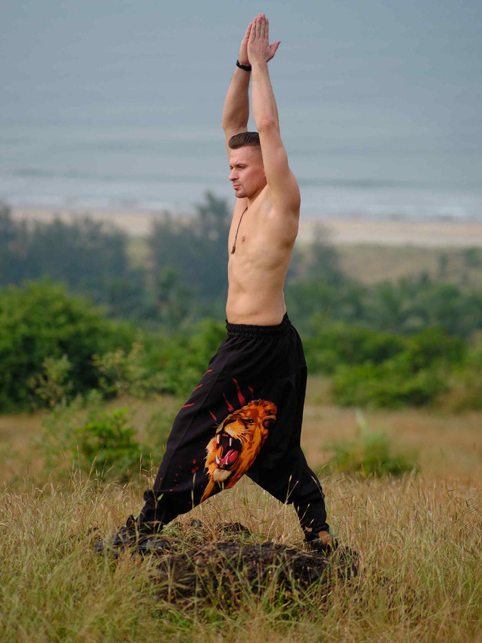 Men's Lion Print Hippy Baggy Harem Pants For Travel Dance Yoga image 6