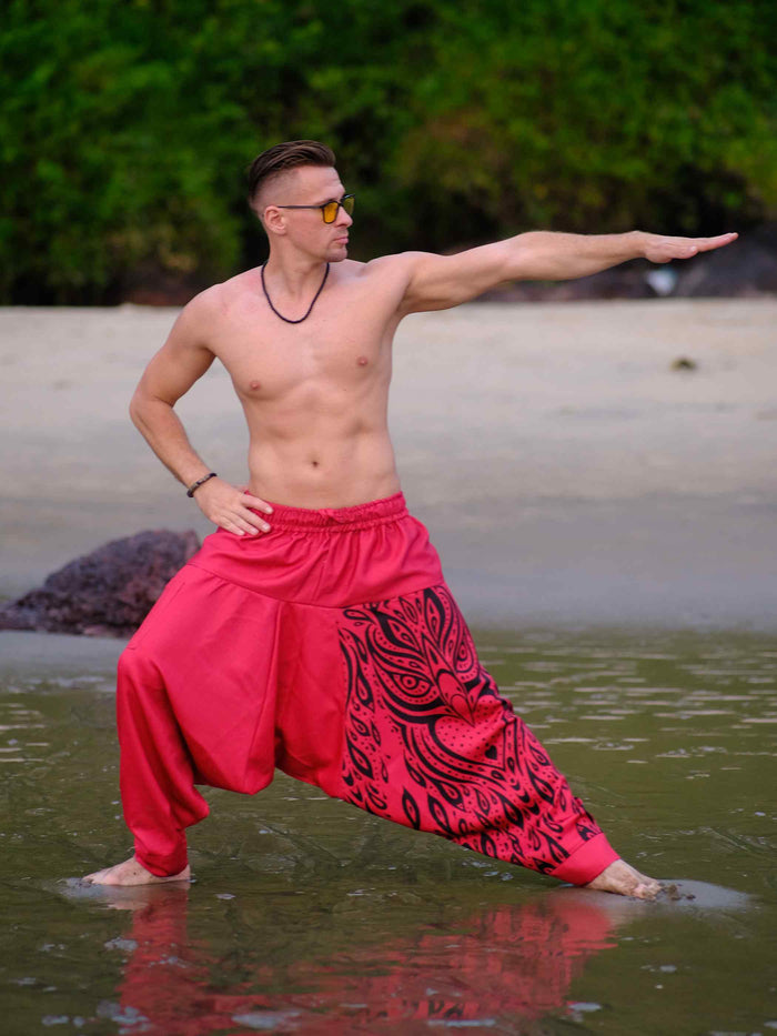 Buy Men's Red Owl Bohemian Hippy Balloon Harem Pants For Travel Dance Yoga