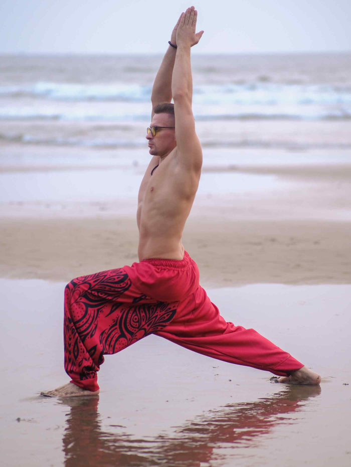 Buy Unisex Couple Red Owl Bohemian Hippy Aladdin Balloon Harem Pants For Travel Yoga Dance