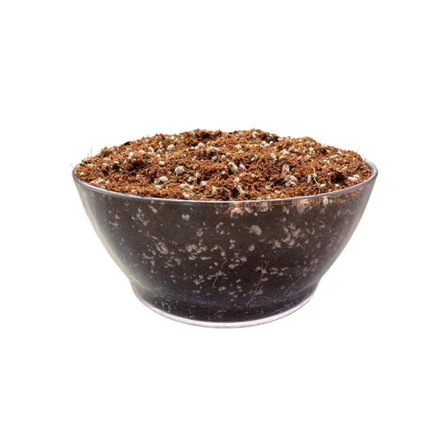 Premium Coco Coir Perlite 70 / 30 Blend - 10L