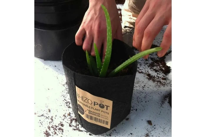 Rhizo-Pot Fabric Pot - 12L