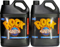 Rock Ignite Bloom A&B 5 L
