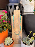 Rough cut turquoise stones with shell beads (26 inches)