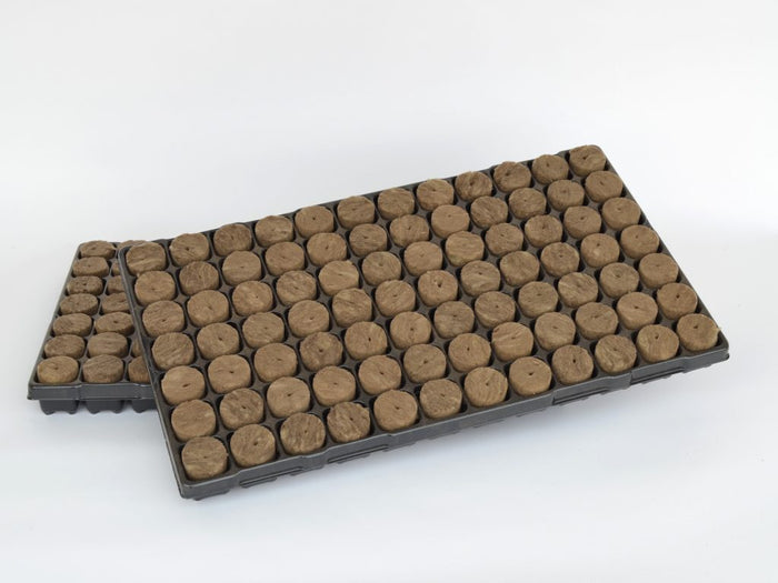 Speedgrow Prop Plug 84pc Tray - 38 x 40mm With Hole
