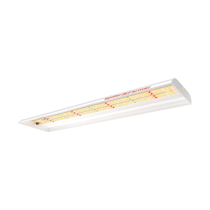 Spider Farmer SF300 33W LED grow light over seedlings