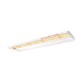 Spider Farmer SF300 33W LED grow light over seedlings
