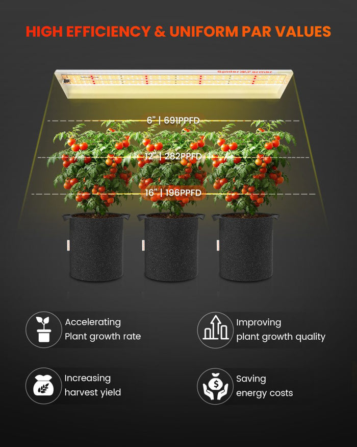 Spider Farmer SF300 uniform PAR value map