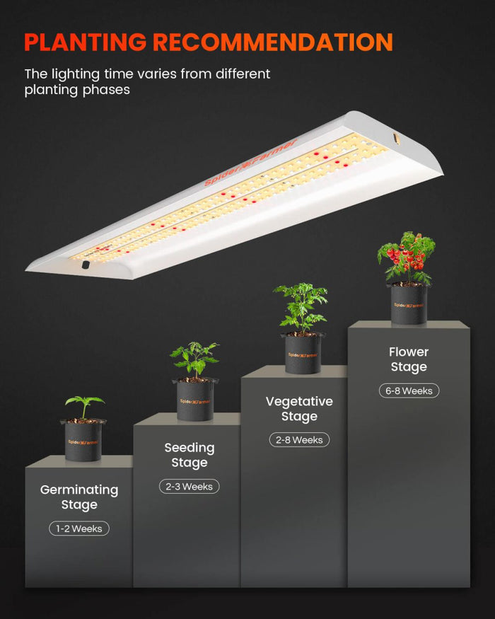 Spider Farmer SF300 growing tips and hanging height guide