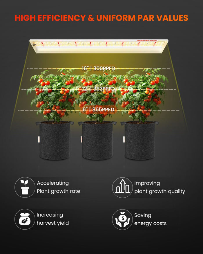 Spider Farmer SF600 uniform PAR value map