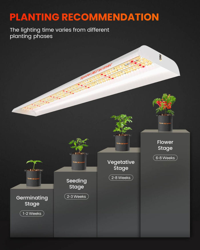 Spider Farmer SF600 growing tips and hanging height guide