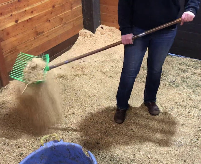 Stall Cleaning (Rother Clinic April 2025)