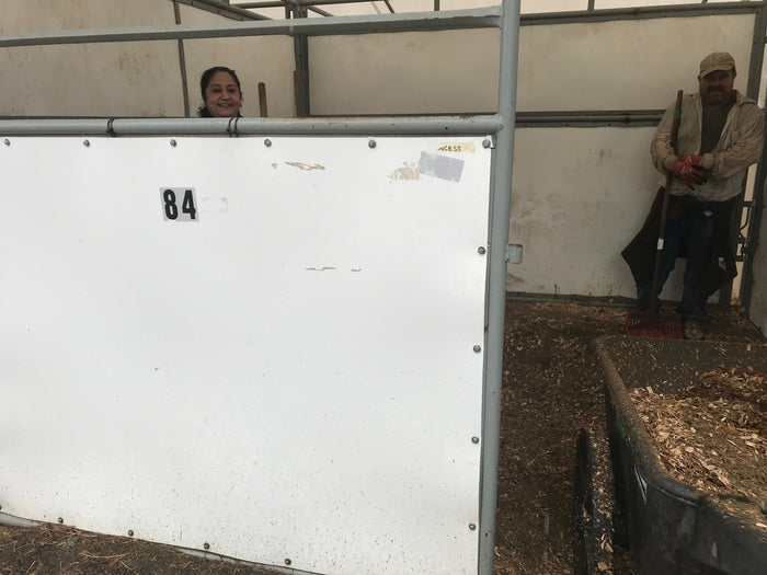 Stall Cleaning (Woodbrook Hunt Camp 2023)