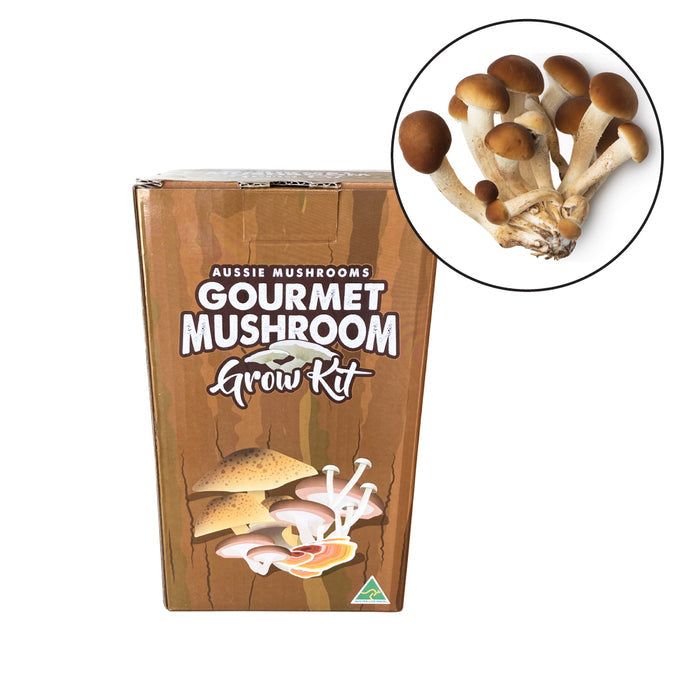 Sword Belt - Aussie Mushroom Kit