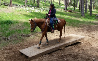 Trail & Arena Use (ETS II - 2023)