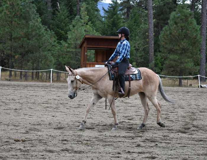 Trail & Arena Use (Steve Rother Clinic 2022)