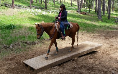 Trail & Arena Use